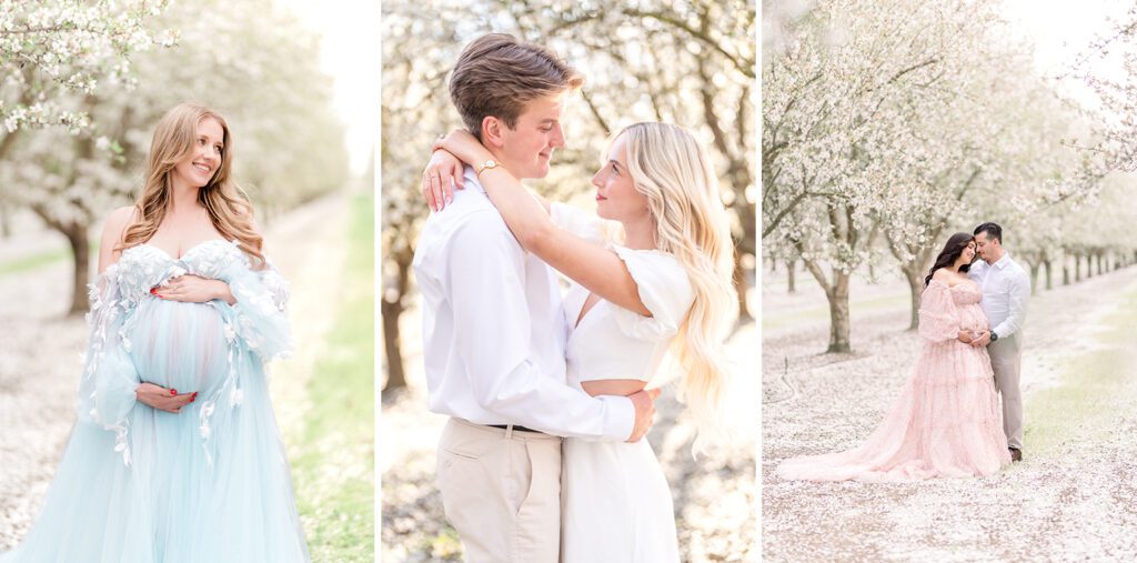 Spring portraits of maternity mothers in Dixon almond blossom orchard
