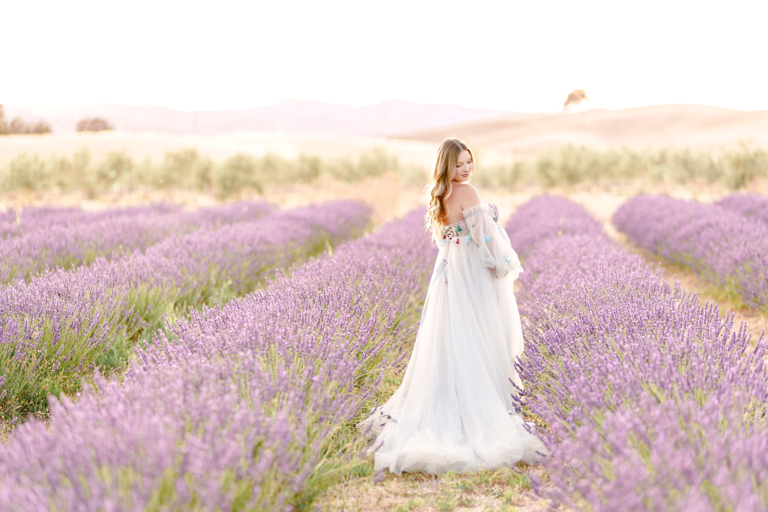 Maternity mom in a lavender field in Capay Valley CA