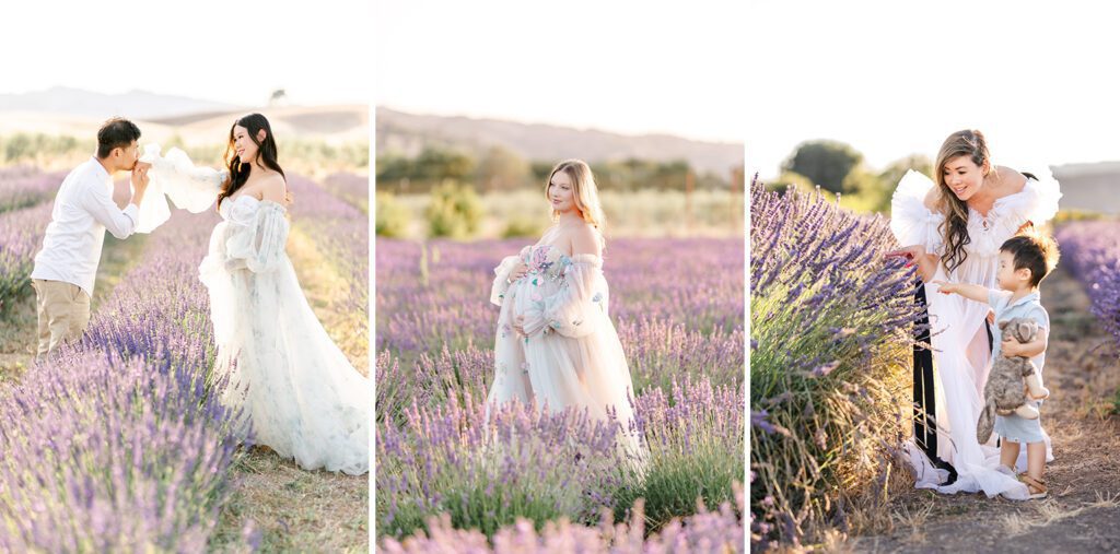 Maternity portraits in a lavender field in Capay Valley