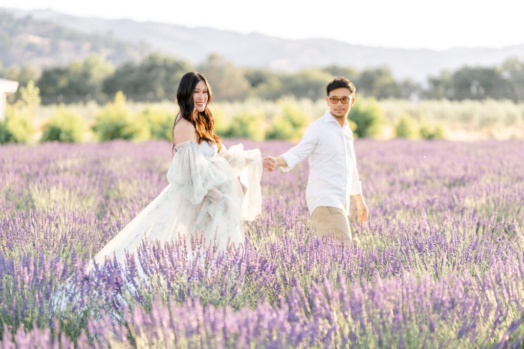 Bay Area maternity portraits at a lavender field in Capay Valley CA