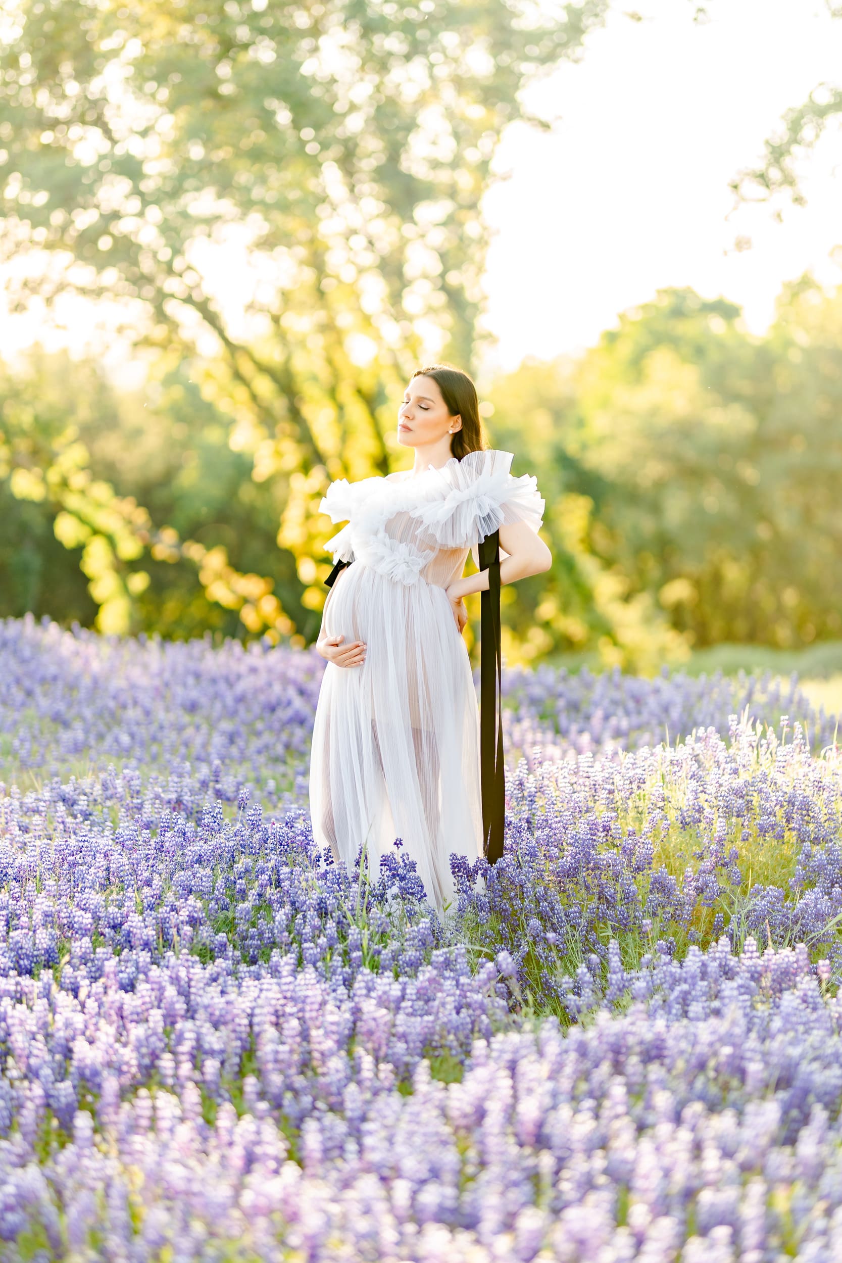 Mom in a field of Folsom Lake Lupine Blooms