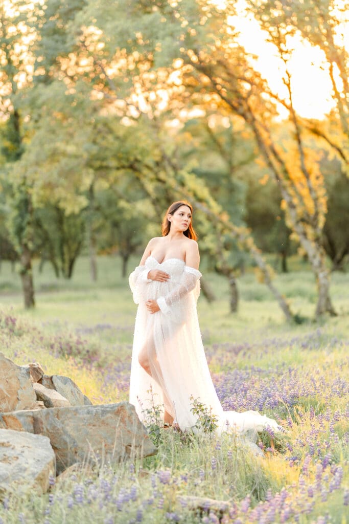 Bay Area maternity photographer capturing a spring maternity session in an El Dorado Hills lupine field