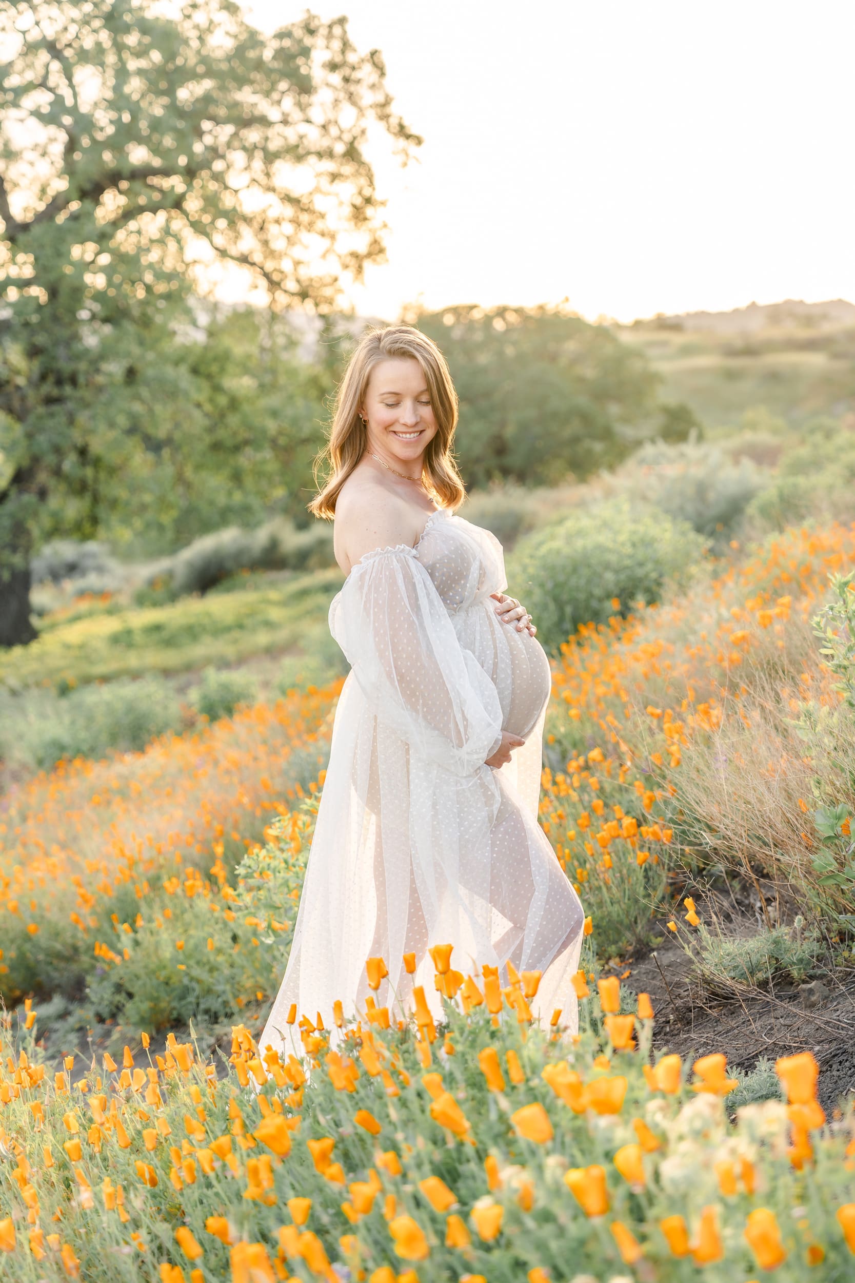 Pregnant mother wearing a flowing white maternity gown standing in a blooming poppy field at Shell Ridge in Walnut Creek during spring golden hour.