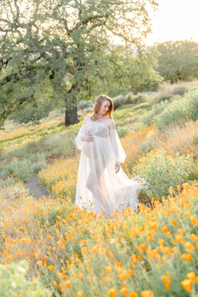 Maternity mom from Walnut Creek posing on a trail of poppy flowers.
