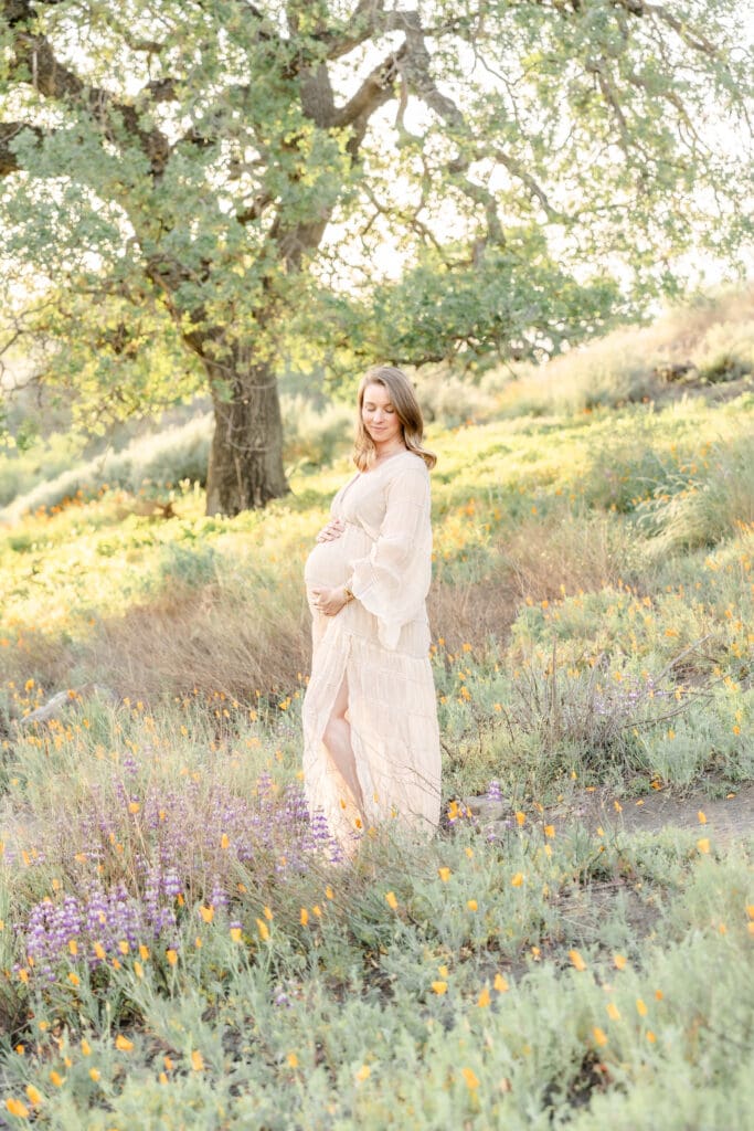 Maternity mother in a boho gown posing in a field of poppies and lupines in Walnut Creek CA